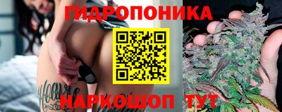 соль ск Пугачёв