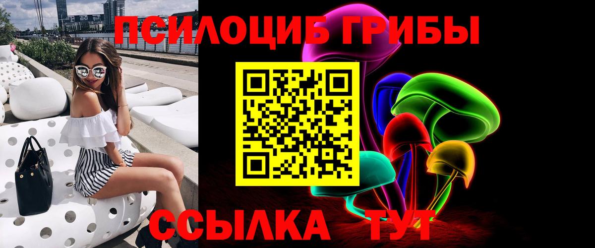 Псилоцибиновые грибы мицелий Ревда
